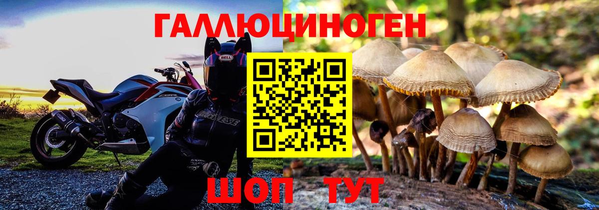 Алексин  наркошоп  Вход с VPN  Псилоцибиновые грибы прущие грибы  Псилоцибиновые грибы MAGIC MUSHROOMS 