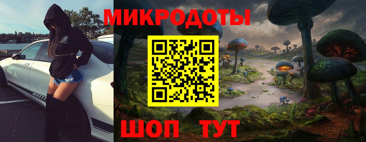 Псилоцибиновые грибы мухоморы Алексин